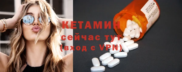 гидра Гусев