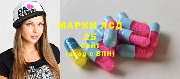 гидра Гусев