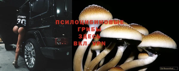 СК Тында