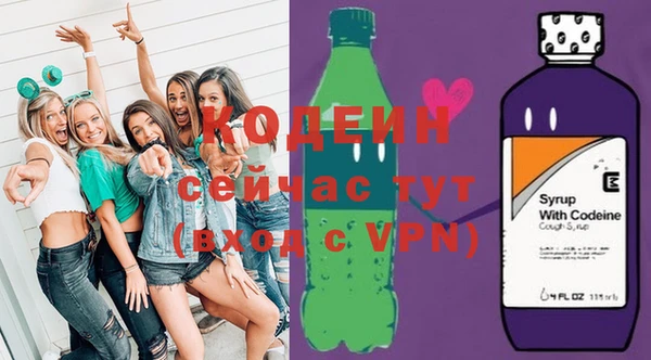 гидра Гусев