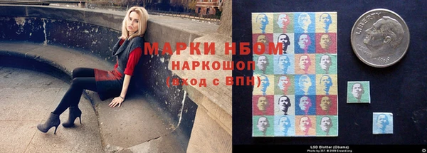 СК Тында